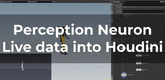 perception neuron live data into houdini tutorial