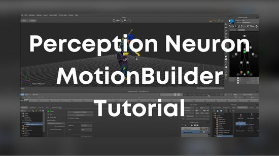 perception neuron motionbuilder tutorial