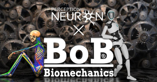 Body of Biomechanics