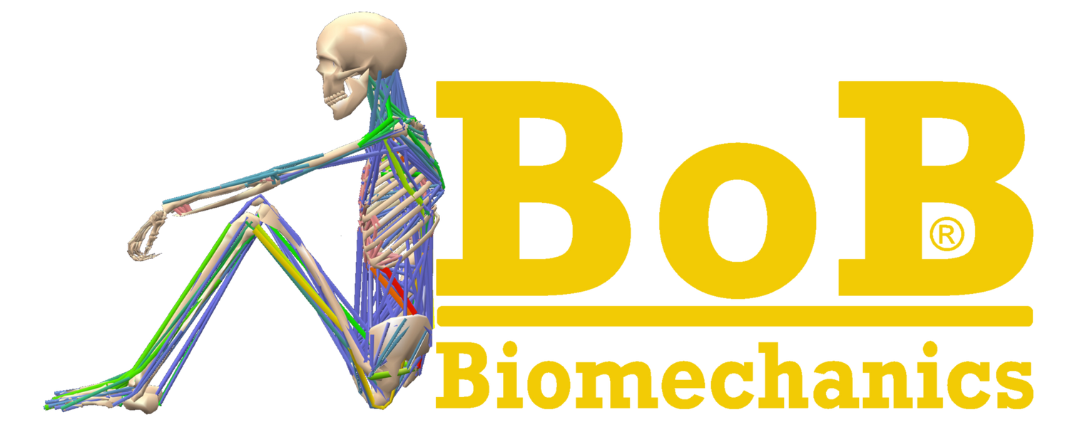 The Bob biomechanics skeleton leaning against the yellow bob biomechanics software logo