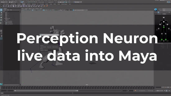 perception neuron motion capture live data into autodesk maya tutorial video